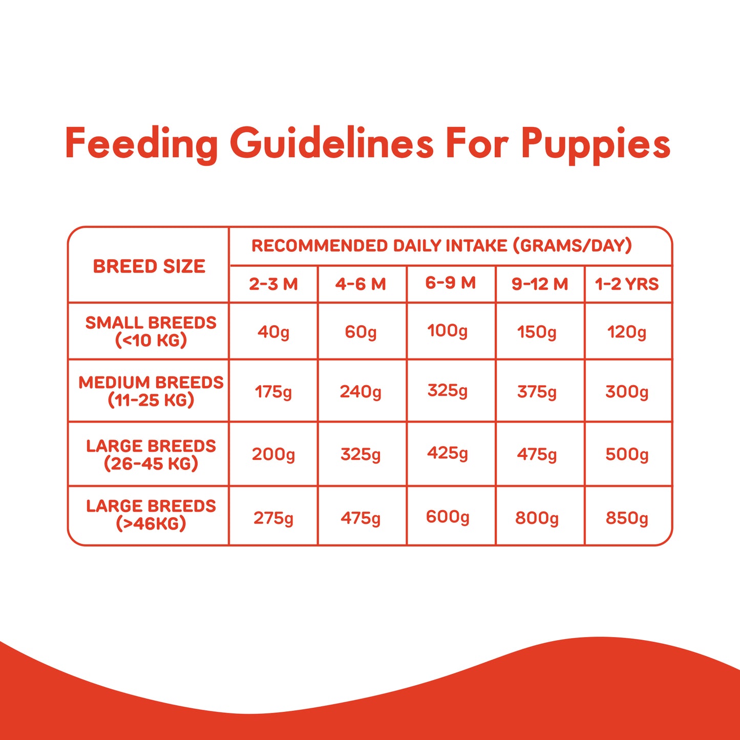 DRY FOOD CHICKEN AND PUMPKIN FOR PUPPIES